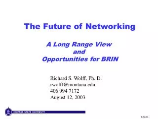 The Future of Networking A Long Range View and Opportunities for BRIN