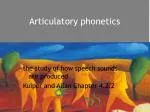 Articulatory phonetics - slide 1