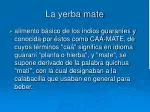 La yerba mate - slide 1