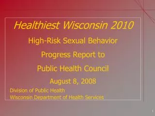 Healthiest Wisconsin 2010 High-Risk Sexual Behavior Progress Report to Public Health Council August 8, 2008