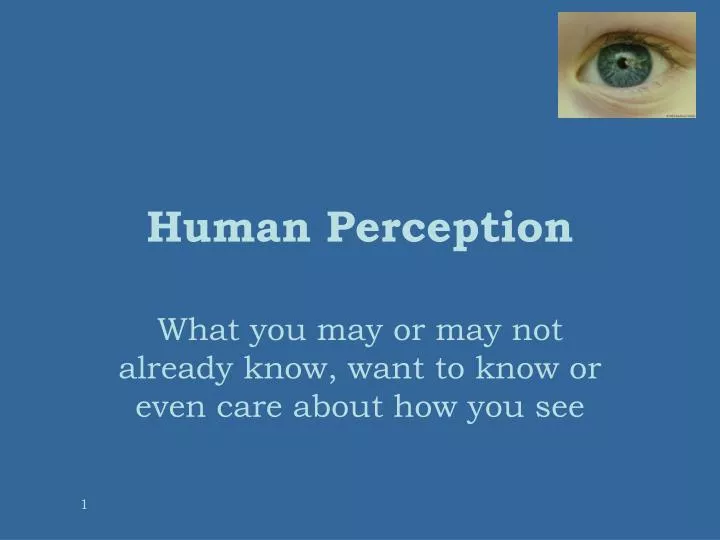 human perception