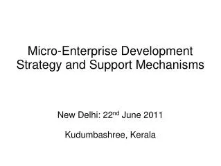 Micro-Enterprise Development Strategy and Support Mechanisms