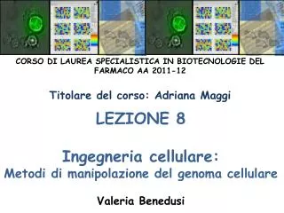 LEZIONE 8 Ingegneria cellulare: Metodi di manipolazione del genoma cellulare Valeria Benedusi