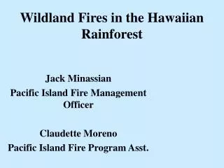 Wildland Fires in the Hawaiian Rainforest