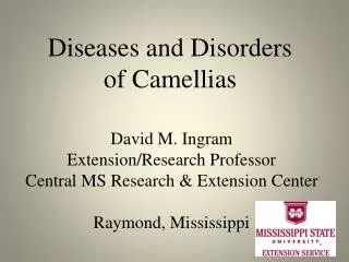 Diseases and Disorders of Camellias