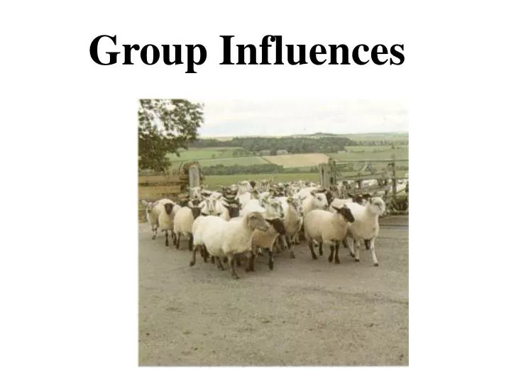 group influences