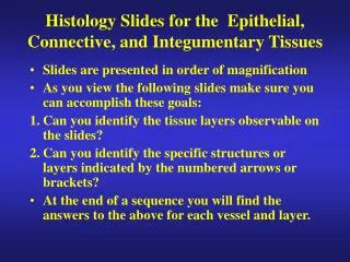 Histology Slides for the Epithelial, Connective, and Integumentary Tissues