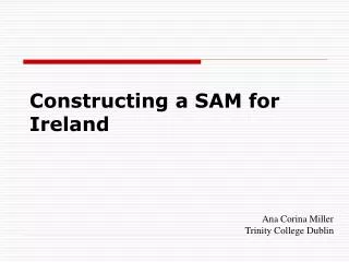 Constructing a SAM for Ireland