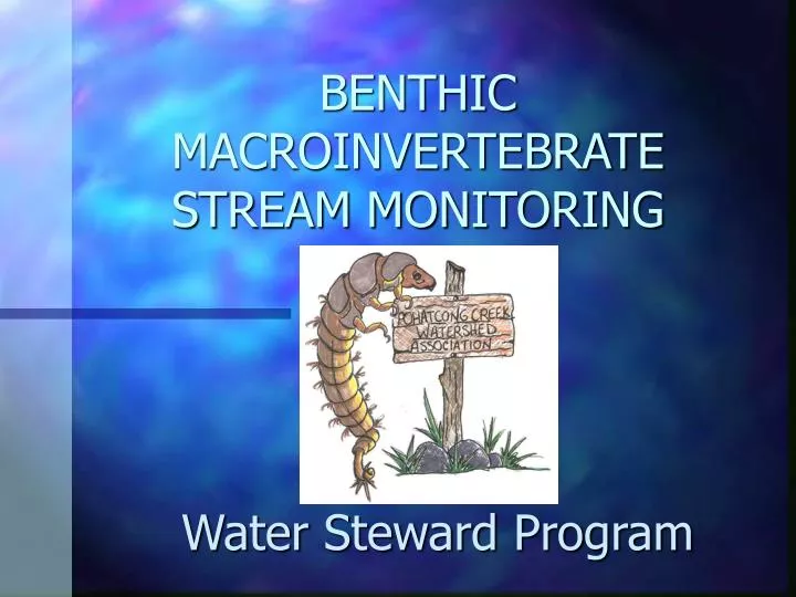 benthic macroinvertebrate stream monitoring