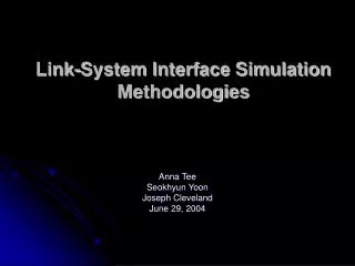 Link-System Interface Simulation Methodologies