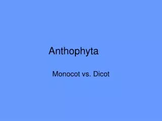 Anthophyta