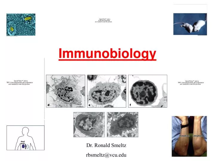 immunobiology