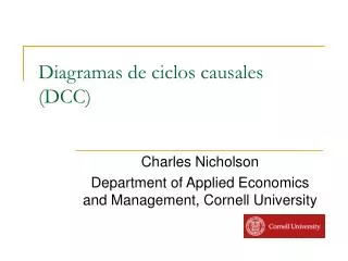 Diagramas de ciclos causales (DCC)