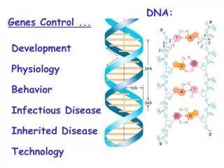 Genes Control ...