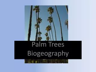 Palm Trees Biogeography