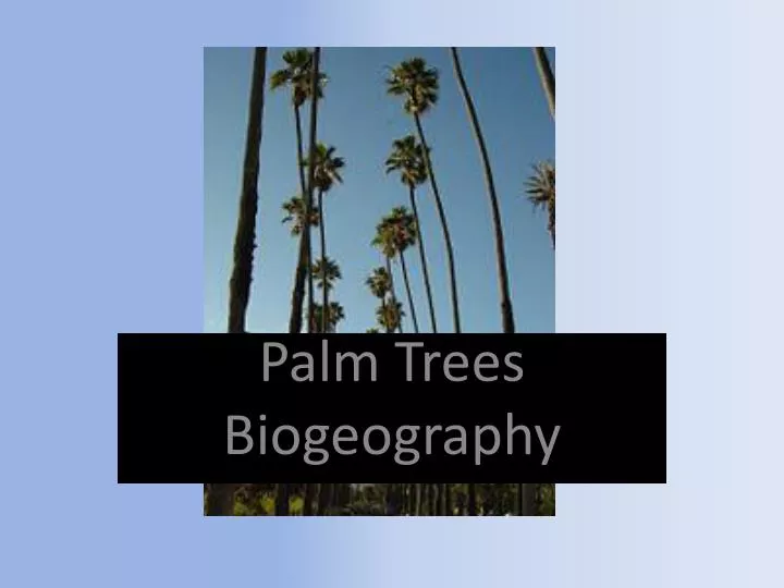 palm trees biogeography