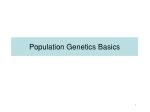 Population Genetics Basics