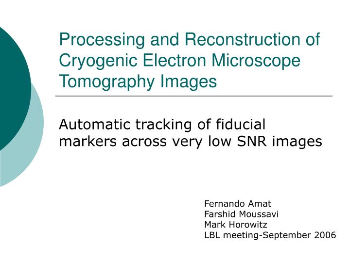 processing and reconstruction of cryogenic electron microscope tomography images