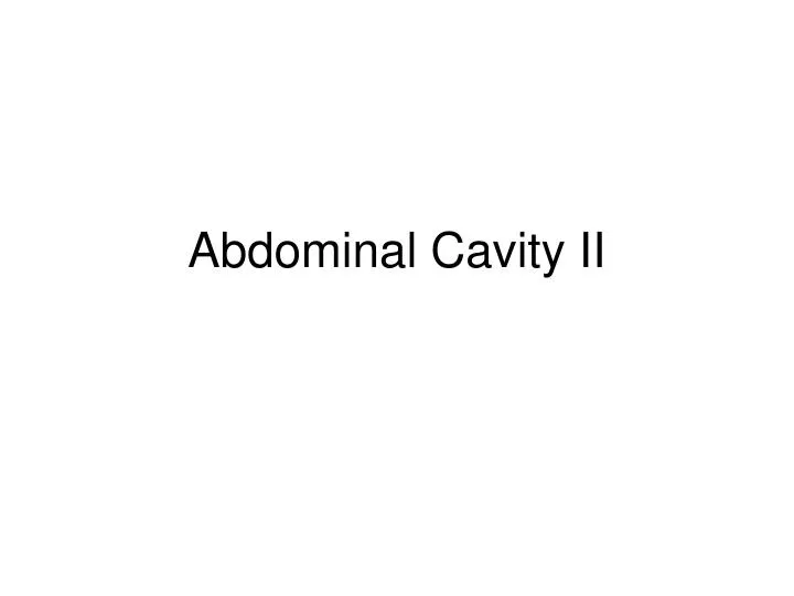 abdominal cavity ii