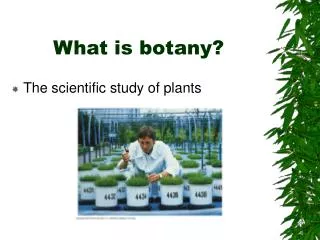What is botany?
