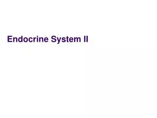 Endocrine System II