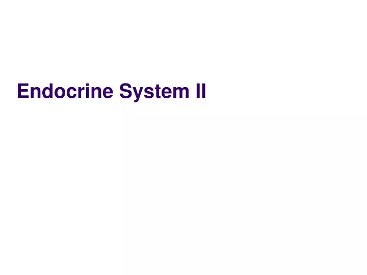 endocrine system ii