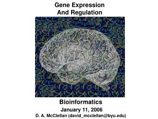 Gene Expression And Regulation