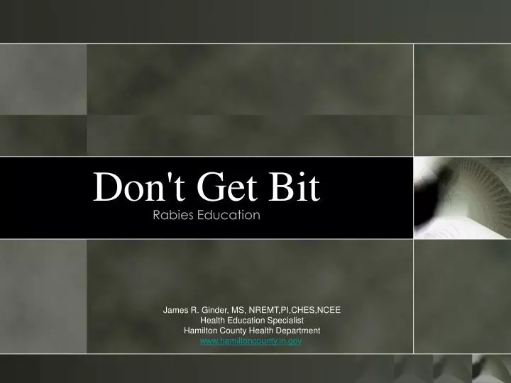 don t get bit