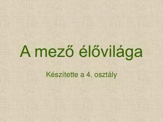 a mez l vil ga