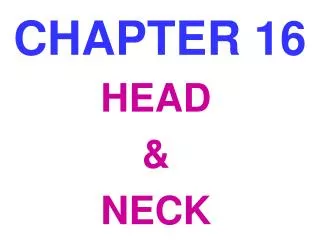 CHAPTER 16