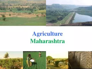 Agriculture Maharashtra