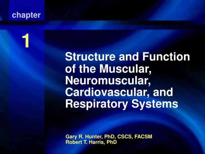 structure and function of the muscular neuromuscular cardiovascular and respiratory systems