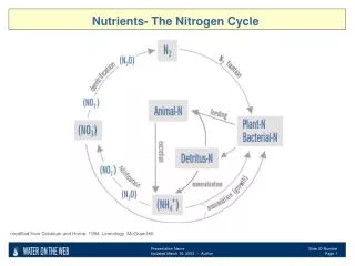 Nutrients- The Nitrogen Cycle
