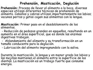 prehensi n masticaci n degluci n