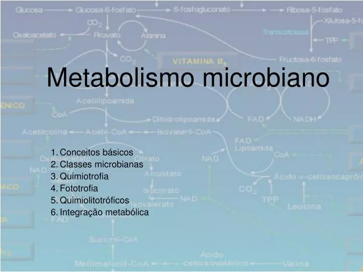 metabolismo microbiano