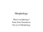Morphology - slide 1