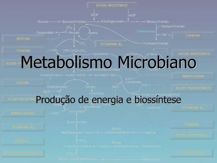 metabolismo microbiano