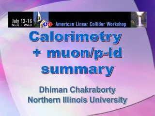 Calorimetry + muon/p-id summary
