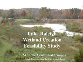 Lake Raleigh Wetland Creation Feasibility Study