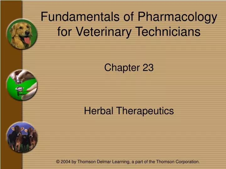 fundamentals of pharmacology for veterinary technicians