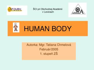 human body