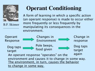 Operant Conditioning