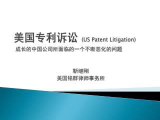 us patent litigation