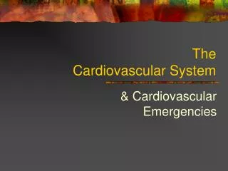 the cardiovascular system