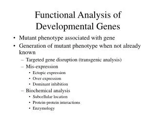 Functional Analysis of Developmental Genes