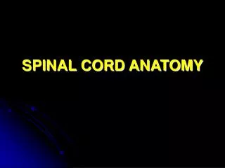 SPINAL CORD ANATOMY