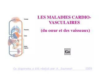 LES MALADIES CARDIO-VASCULAIRES (du cœur et des vaisseaux)
