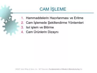 cam leme