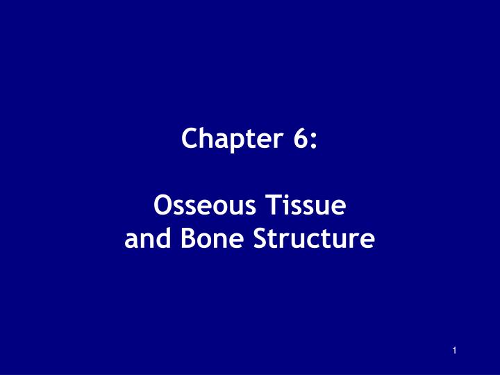 chapter 6 osseous tissue and bone structure