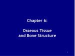 Chapter 6: Osseous Tissue and Bone Structure - slide 1